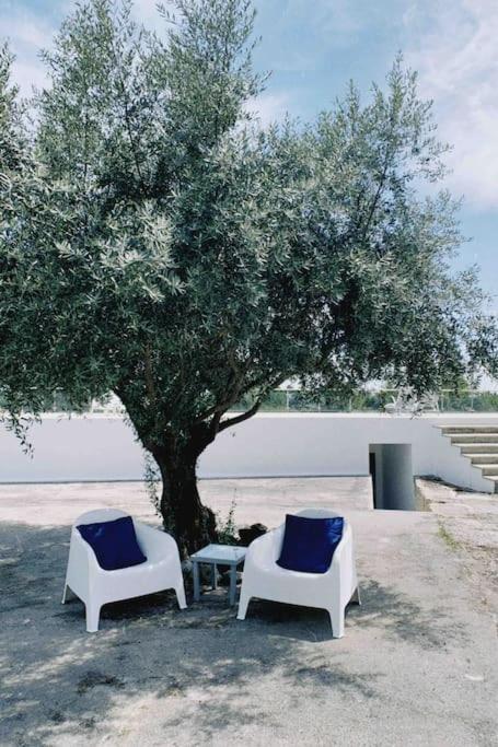 Casa Da Oliveira Villa Nelas Dış mekan fotoğraf
