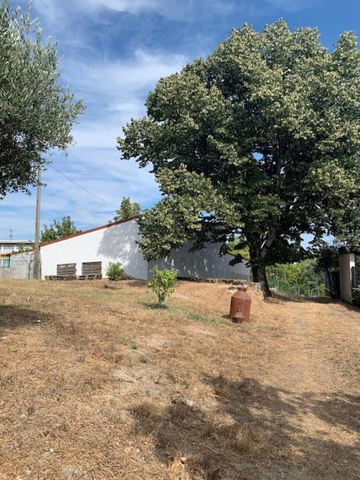 Casa Da Oliveira Villa Nelas Dış mekan fotoğraf