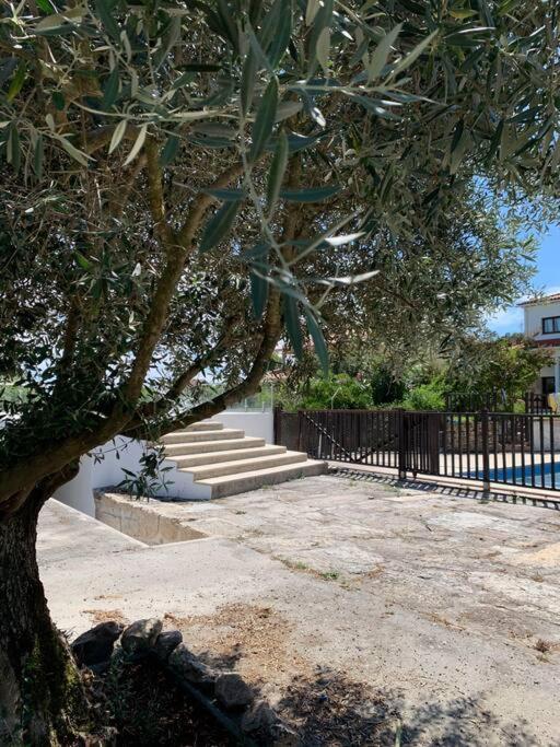Casa Da Oliveira Villa Nelas Dış mekan fotoğraf